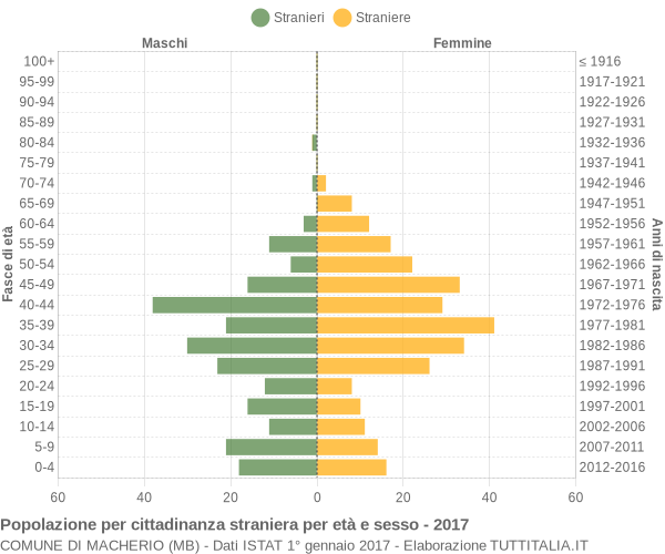 Grafico cittadini stranieri - Macherio 2017