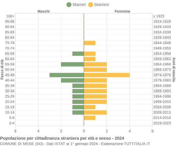 Grafico cittadini stranieri - Mese 2024