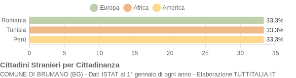 Grafico cittadinanza stranieri - Brumano 2009