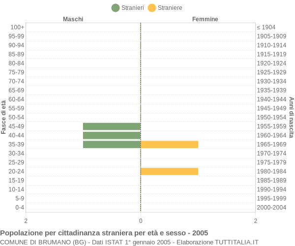 Grafico cittadini stranieri - Brumano 2005