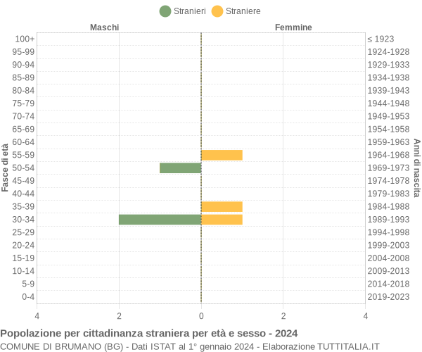 Grafico cittadini stranieri - Brumano 2024