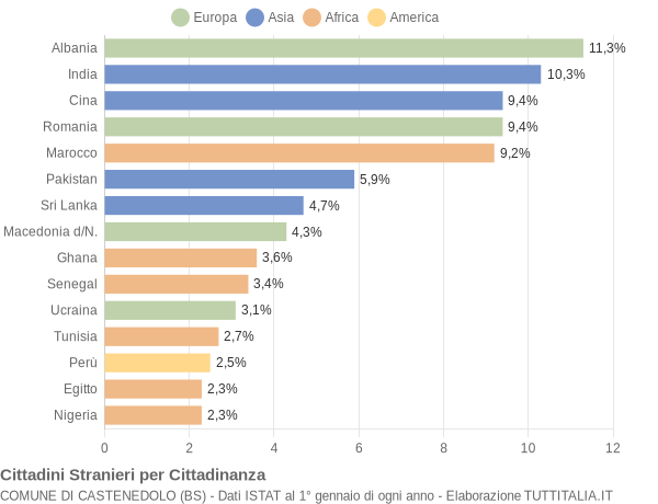 Grafico cittadinanza stranieri - Castenedolo 2008