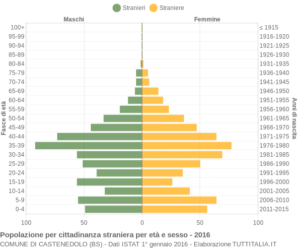 Grafico cittadini stranieri - Castenedolo 2016