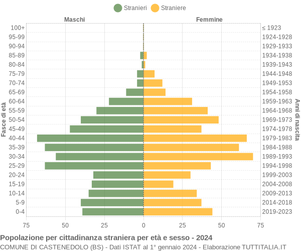 Grafico cittadini stranieri - Castenedolo 2024