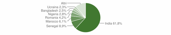 Grafico cittadinanza stranieri - Pralboino 2013