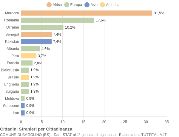 Grafico cittadinanza stranieri - Bagolino 2010