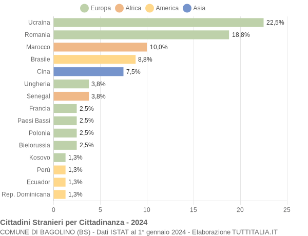 Grafico cittadinanza stranieri - Bagolino 2024