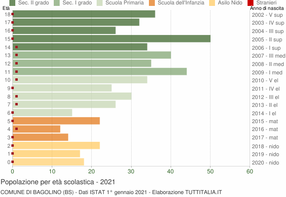 Grafico Popolazione in età scolastica - Bagolino 2021