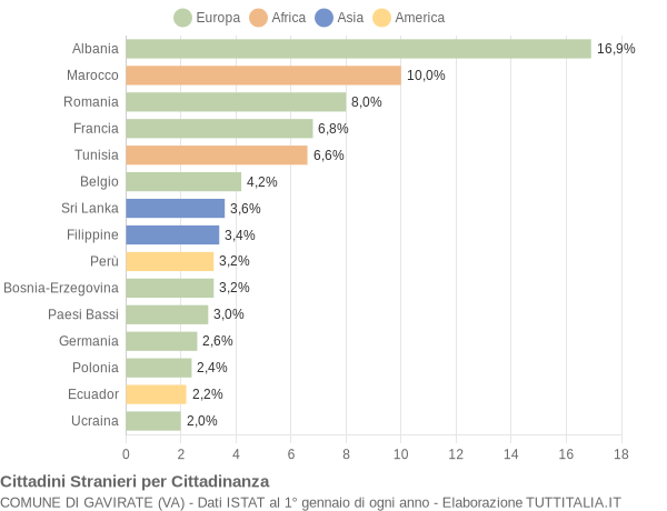 Grafico cittadinanza stranieri - Gavirate 2008