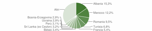 Grafico cittadinanza stranieri - Gavirate 2010