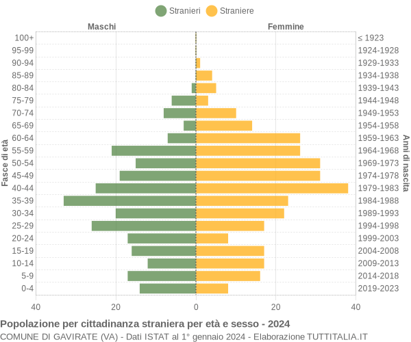 Grafico cittadini stranieri - Gavirate 2024