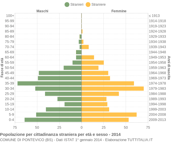 Grafico cittadini stranieri - Pontevico 2014