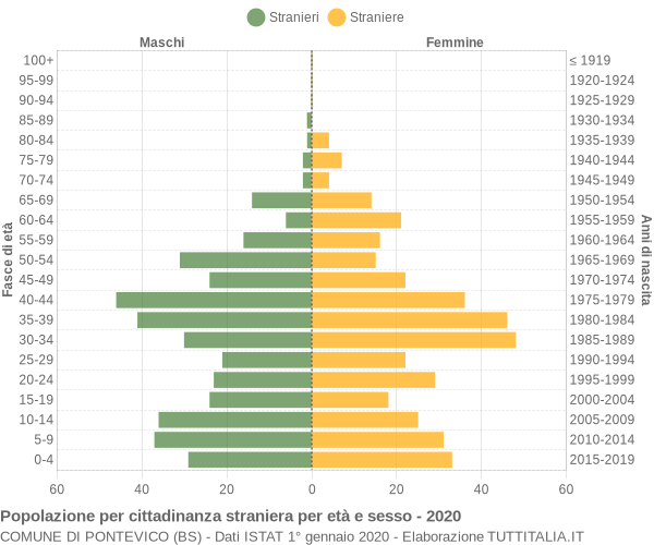 Grafico cittadini stranieri - Pontevico 2020