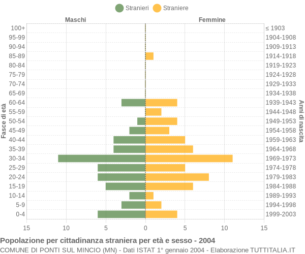 Grafico cittadini stranieri - Ponti sul Mincio 2004