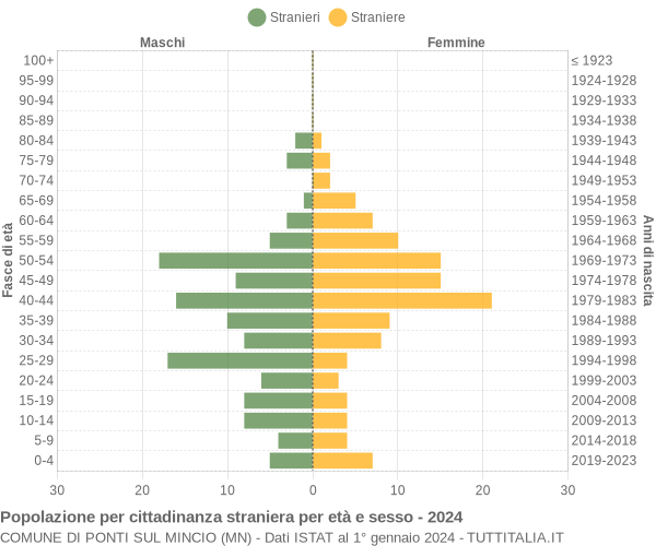 Grafico cittadini stranieri - Ponti sul Mincio 2024