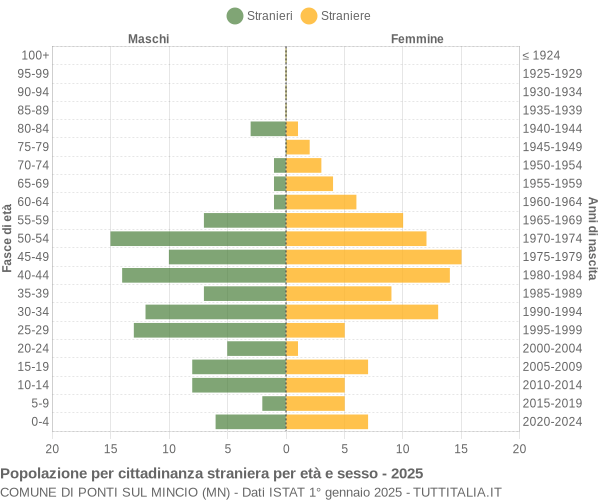 Grafico cittadini stranieri - Ponti sul Mincio 2025