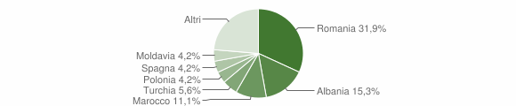 Grafico cittadinanza stranieri - Pusiano 2010