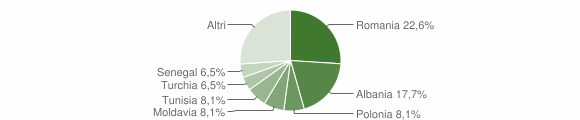 Grafico cittadinanza stranieri - Pusiano 2013