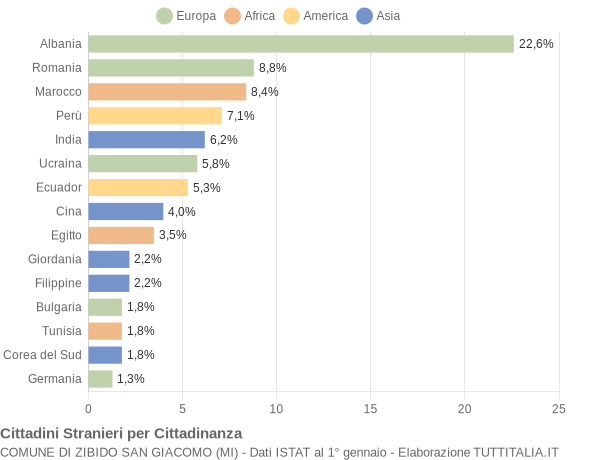 Grafico cittadinanza stranieri - Zibido San Giacomo 2006