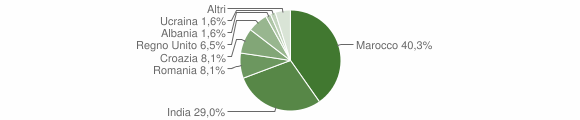 Grafico cittadinanza stranieri - Colorina 2008