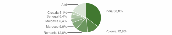 Grafico cittadinanza stranieri - Colorina 2014