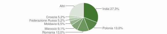 Grafico cittadinanza stranieri - Colorina 2015