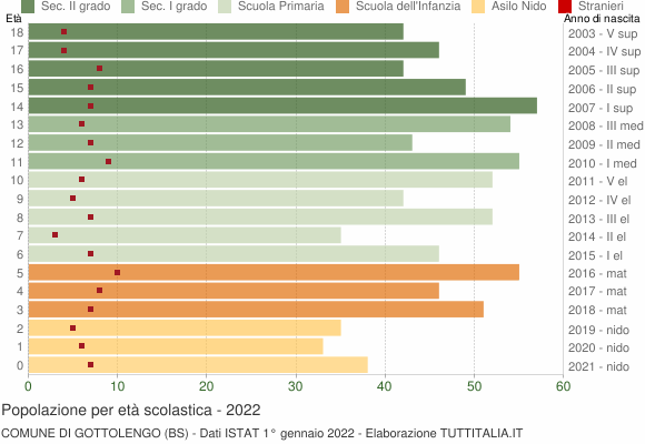 Grafico Popolazione in età scolastica - Gottolengo 2022