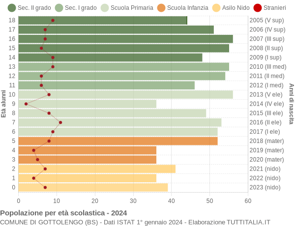 Grafico Popolazione in età scolastica - Gottolengo 2024