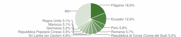 Grafico cittadinanza stranieri - Segrate 2008