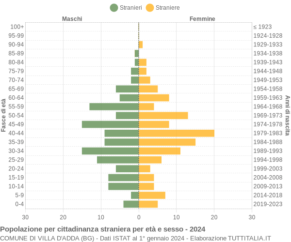 Grafico cittadini stranieri - Villa d'Adda 2024