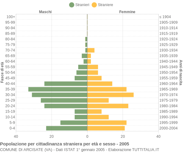 Grafico cittadini stranieri - Arcisate 2005
