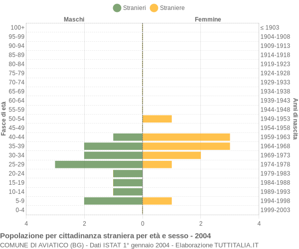 Grafico cittadini stranieri - Aviatico 2004