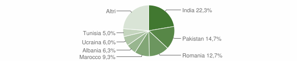 Grafico cittadinanza stranieri - Bagnatica 2012
