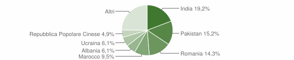 Grafico cittadinanza stranieri - Bagnatica 2013