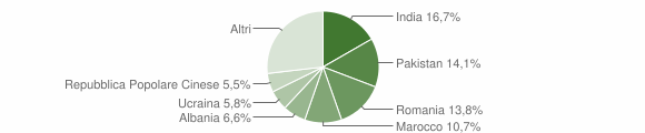Grafico cittadinanza stranieri - Bagnatica 2014