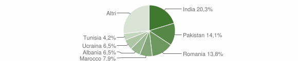 Grafico cittadinanza stranieri - Bagnatica 2015