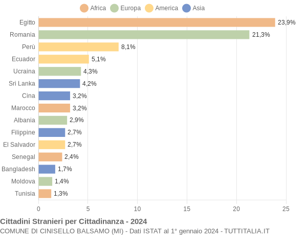 Grafico cittadinanza stranieri - Cinisello Balsamo 2024