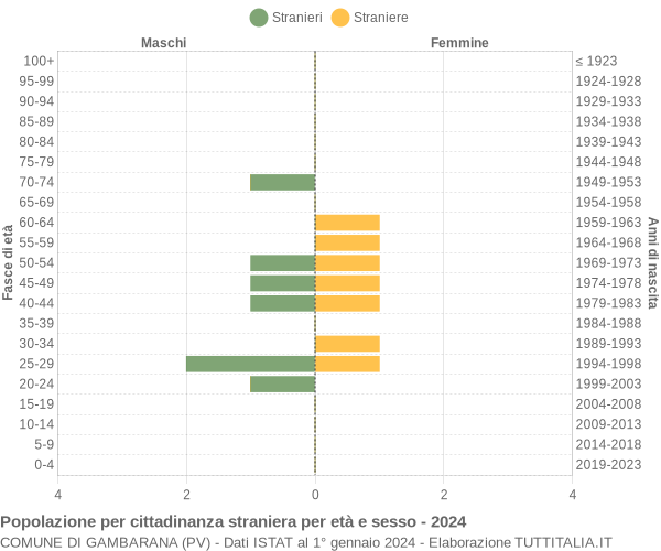 Grafico cittadini stranieri - Gambarana 2024