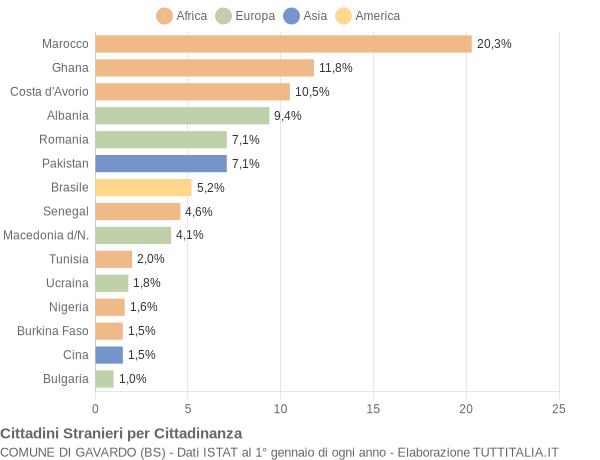 Grafico cittadinanza stranieri - Gavardo 2004