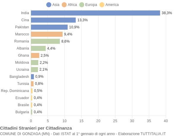 Grafico cittadinanza stranieri - Gonzaga 2018