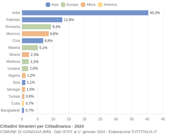 Grafico cittadinanza stranieri - Gonzaga 2024