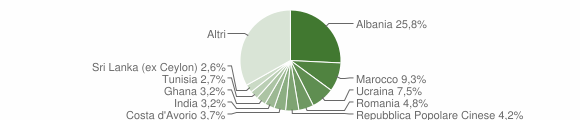 Grafico cittadinanza stranieri - Malnate 2013