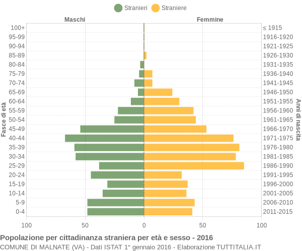 Grafico cittadini stranieri - Malnate 2016