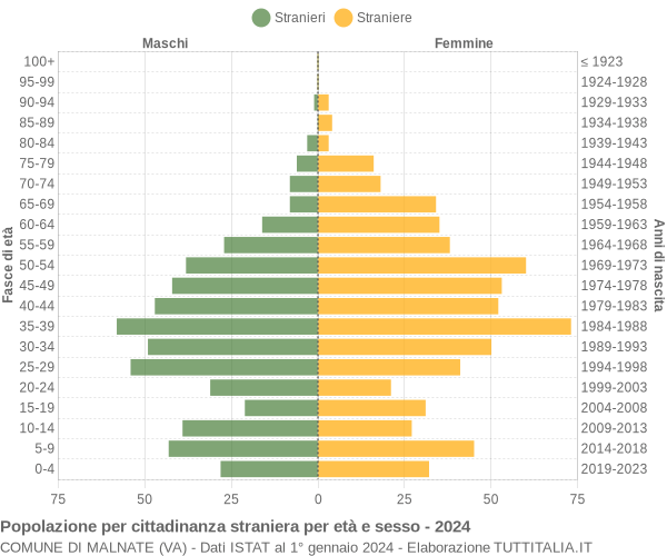 Grafico cittadini stranieri - Malnate 2024