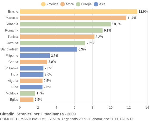 Grafico cittadinanza stranieri - Mantova 2009