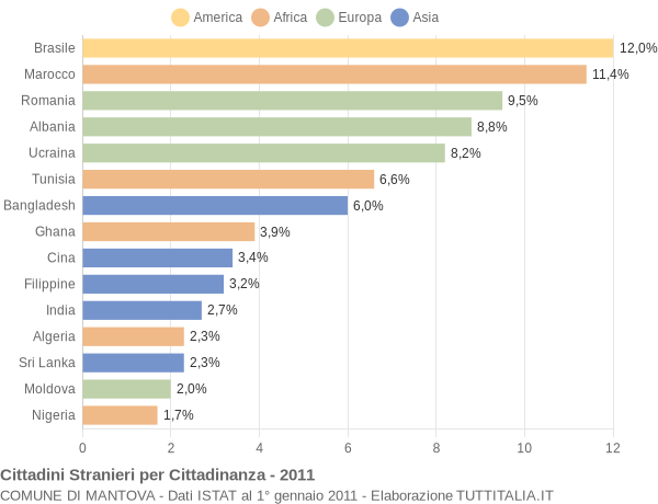 Grafico cittadinanza stranieri - Mantova 2011