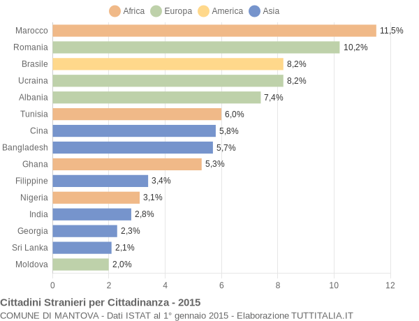 Grafico cittadinanza stranieri - Mantova 2015