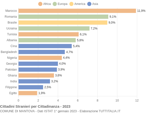 Grafico cittadinanza stranieri - Mantova 2023