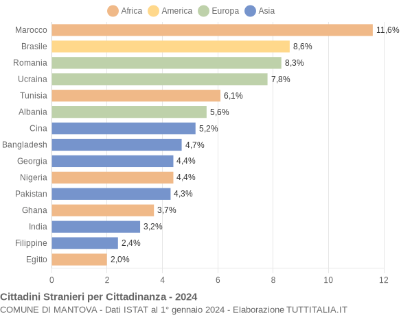 Grafico cittadinanza stranieri - Mantova 2024