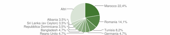 Grafico cittadinanza stranieri - Misinto 2008